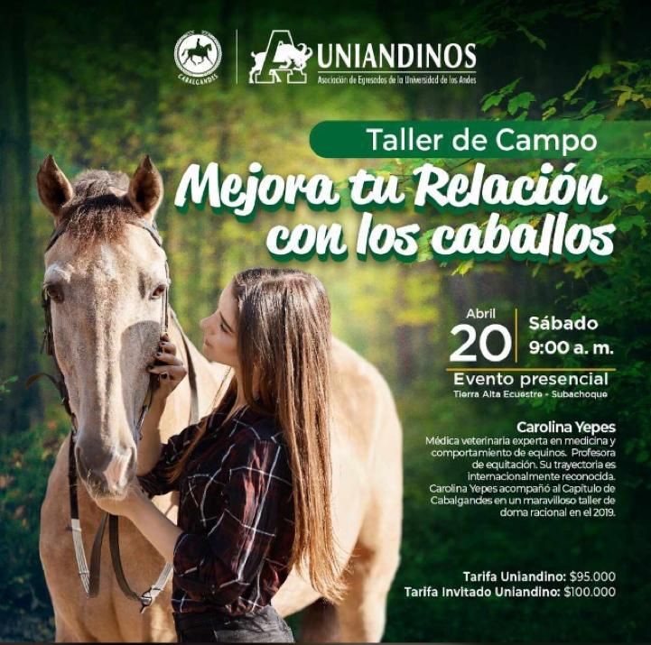 Mejora tu relacion con los caballos